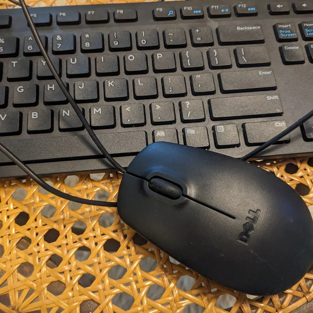 Dell USB keyboard and mouse combo